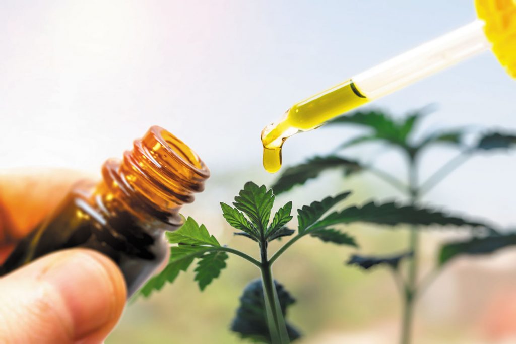 CBD Cream in Fighting Back Pain- Everything you should know