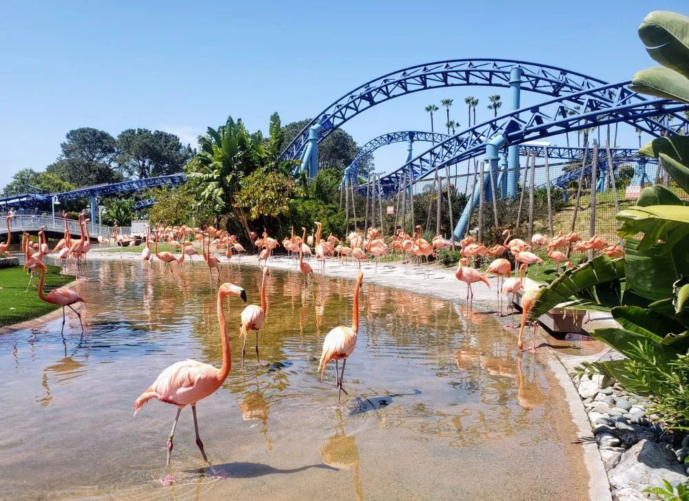 Top 5 Fun Destinations in San Diego